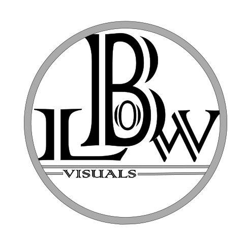B-Low Visuals