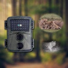 Trail Cameras