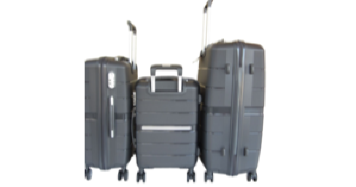 travel gear luggage price