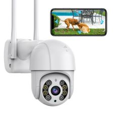 Surveillance Cameras