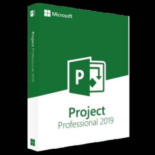 Project Professional 2020 license